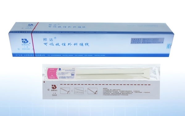 可吸收性外科缝线（内窥镜圈套线）